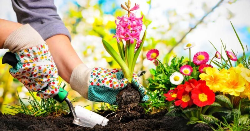 Gardening-tools-Must-have-tools-for-growing-a-home-garden